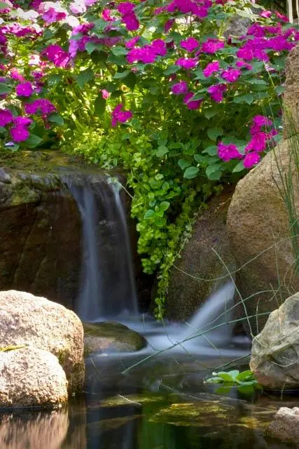 pond-repair-img-3