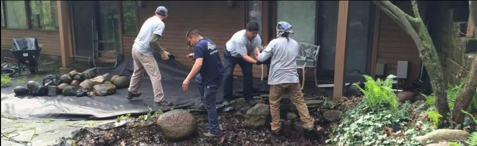 pond-repair-leaky-img-1